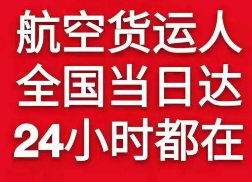 金湾空运代理货物、航空货运:物流行业各岗位招聘